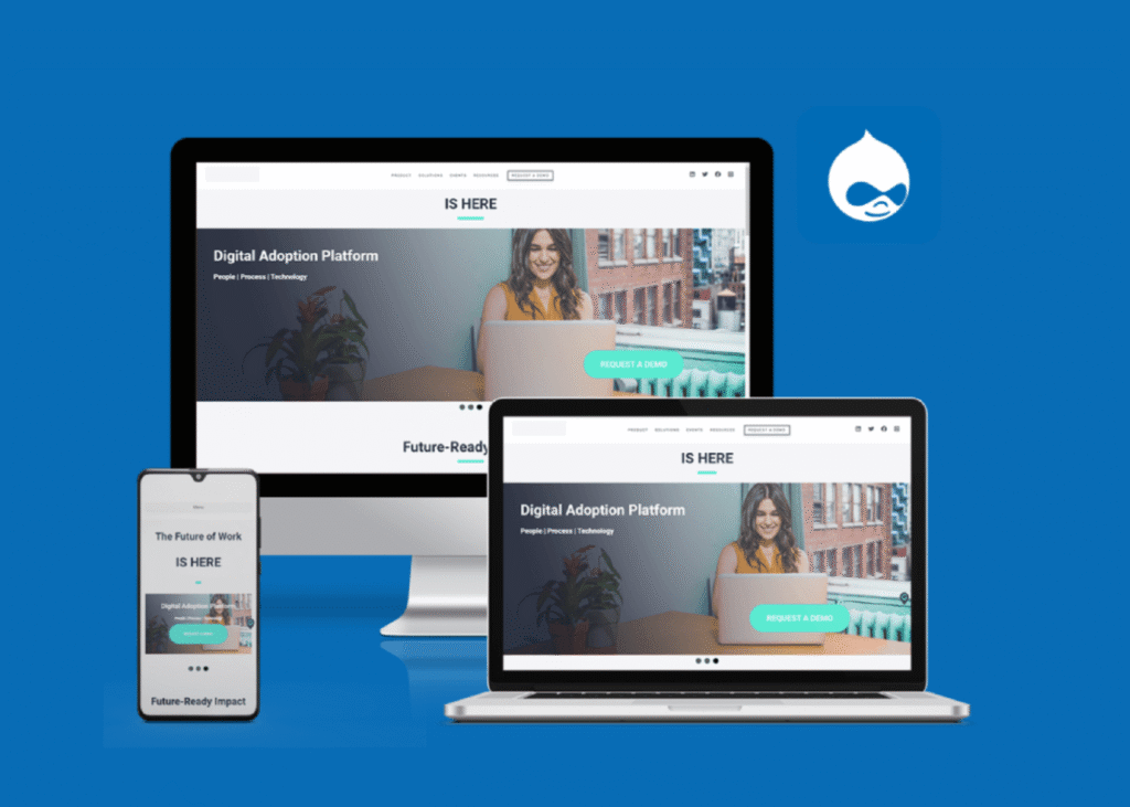 Web Developments 10 Drupal